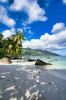 hermosa blanco arenoso playa, con palmera, rock cantos rodados y blanco playa, yegua inglés playa, mahe seychelles foto