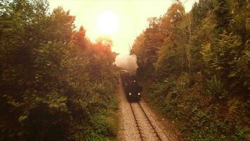 histórico vapor motor trem locomotiva cruzando Ferrovia faixas video