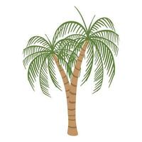 Exotic Palm tree ,good for graphic design resources, prints, posters, children books, and more. vector