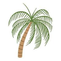 Exotic Palm tree ,good for graphic design resources, prints, posters, children books, and more. vector