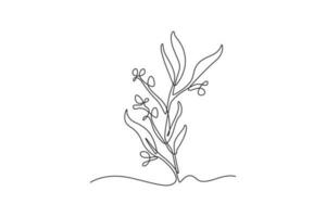 Single one line drawing plants and herbs concept. Continuous line draw design graphic vector illustration.