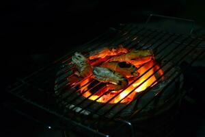 prawn grilled on chacoal oven photo