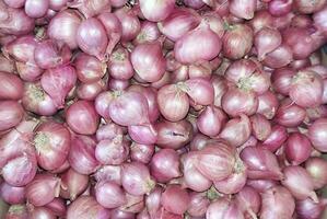 red garlic background photo