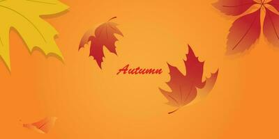 Background design with autumn theme. vector