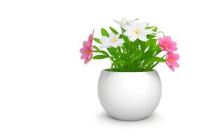 3d beautiful flower, nature flowers and plant pot illustration isolated on white background, copy space photo