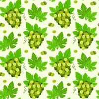 Seamless pattern with bunches of green grapes. Vector illustration with fruit. Summer background with berries of grapes and leaves.