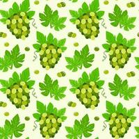 Seamless pattern with bunches of green grapes. Vector illustration with fruit. Summer background with berries of grapes and leaves.