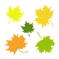 otoño hojas sencillo vector minimalista concepto plano estilo ilustración, multicolor mano dibujado natural floral elementos colocar, elemento para invitaciones, saludo tarjetas, folleto, otoño fiesta dic