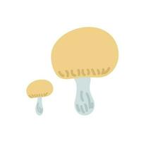 Mushroom, toadchese seasonal Halloween vector illustration of inedible fairymushrooms autumn holidays simple minimalist hand drawn doodle style drawing