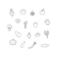 Fruits and Vegetables set Vector Illustration for Food Industry