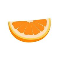 vector illustration of a orange. Lines art tropical fruit, doodle realistic