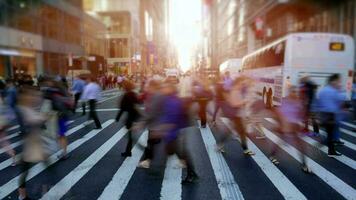 folle di persone pendolarismo nel il città attraversamento strada nel corsa ora traffico video