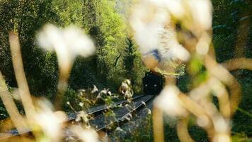 historisch Dampf Motor Zug Lokomotive Kreuzung Eisenbahn Spuren video