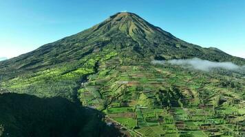 aéreo ver de té jardines en montar sindoro, Indonesia. video