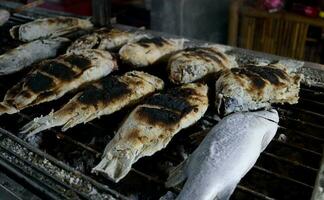 Whole Giant seaperch fish poultice salt grilling on retro charcoal stove, Thailand. photo