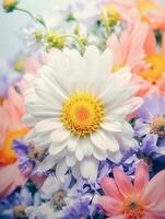 beautiful flower template design photo