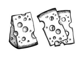 Cheese. Blocks and slices. Ink sketch isolated on white background. Hand drawn vector illustration. Vintage style stroke drawing.