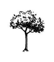 Ink sketch of tree. Hand drawn vector illustration isolated on white background. Retro style.