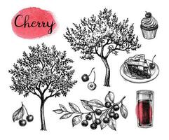 Big set. Cherry trees and branch with fruits. Glass of juice, cupcake and pie. Ink sketch isolated on white background. Hand drawn vector illustration. Vintage style stroke drawing.