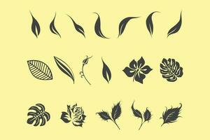 hojas y flores vector ilustración
