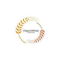 wheat Logo Template vector