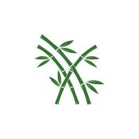 Bamboo with green leaf vector icon