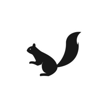 squirrel logo vector