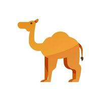 Camel vector isolated on white background