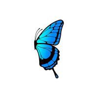 Blue butterfly vector isolated on white baackground.