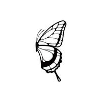 Butterfly vector isolated on white background