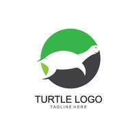 vector de imagen de icono de dibujos animados de animales de tortuga