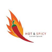 Chili logo template vector