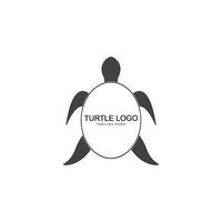 turtle animal cartoon icon image vector