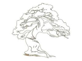 Tree Vector Line Art