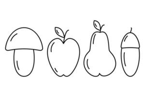 Set of contour drawing seasonal fruits - Mushroom, apple, pear and acorn Thanksgiving day. Vector