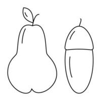 Set of 2 contour drawing seasonal fruit pear and acorn. Thanksgiving day. Coloring book. Vector. EPS vector