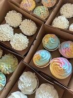 tasty sweet dessert photo
