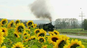 Historical steam engine train locomotive crossing railroad tracks video