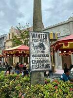 universal studio singapore amusement photo