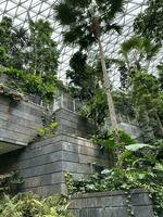 waterfall jewel changi singapore airport photo