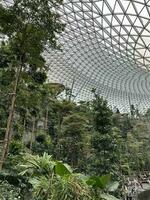 waterfall jewel changi singapore airport photo