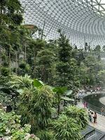 waterfall jewel changi singapore airport photo