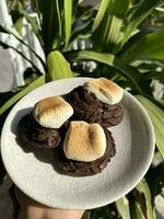 tasty sweet dessert photo