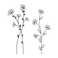 Hand drawn wildflowers set. Vector outline flower sketch. Line art doodle isolated on white background