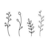 Hand drawn wildflowers set. Vector outline flower sketch. Line art doodle isolated on white background