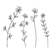 Hand drawn wildflowers set. Vector outline flower sketch. Line art doodle isolated on white background