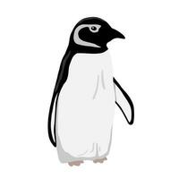 linda bebé pingüino. plano vector ilustración aislado en blanco. polar animal