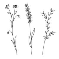 Hand drawn wildflowers set. Vector outline flower sketch. Line art doodle isolated on white background