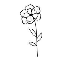 Hand drawn wildflower. Vector outline flower sketch. Line art doodle isolated on white background