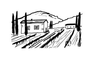 viñedo con uva campo dibujo. tinta mano dibujado escena para vino etiqueta diseño. vector toscana paisaje con casa y montañas